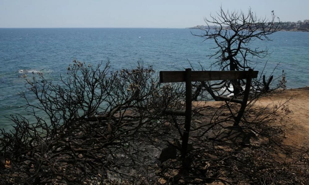 Εισαγγελικό πόρισμα για την πυρκαγιά στο Μάτι: Τα εγκληματικά λάθη και οι καταστροφικοί χειρισμοί